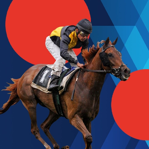 Sea el primero entre los ganadores en las apuestas de carreras de caballos en Megapari App.